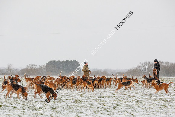 Hound Exercise