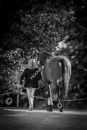 Blenheim Palace International Horse Trials