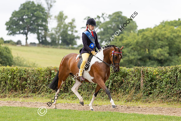 The Royal International Horse Show