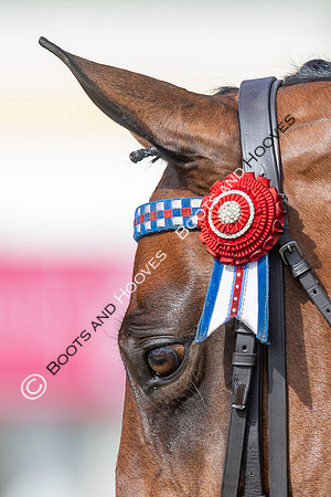 Royal Windsor Horse Show