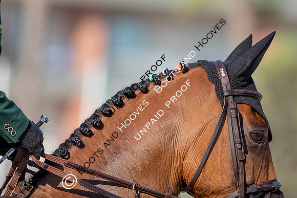 FEI Junior European Championship Young Riders, Juniors & Childre