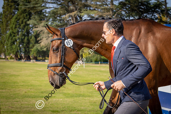 Blenheim Palace International Horse Trials
