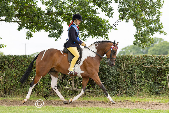 The Royal International Horse Show