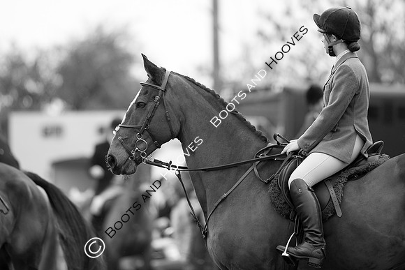 essex Hunt. Easton Harriers. Hunting. ~ MANDATORY Credit Elli Birch/Bootsandhooves - NO UNAUTHORISED USE - 07745 909676