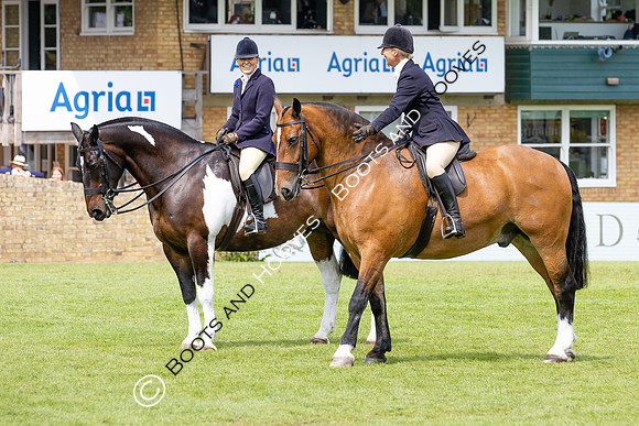 The Agria Royal International Horse Show