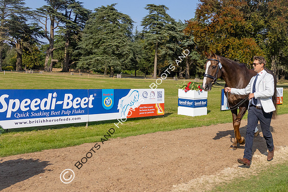 Blenheim Palace International Horse Trials