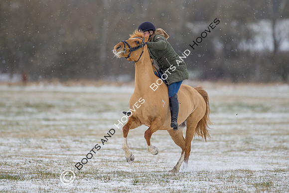 Snow Day