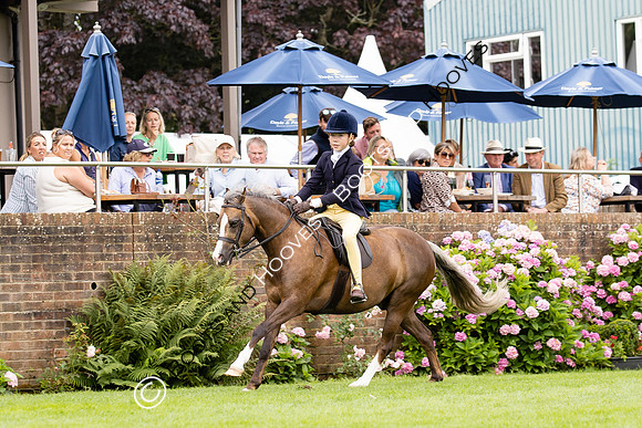 The Agria Royal International Horse Show