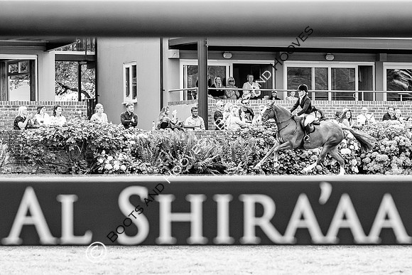 The Agria Royal International Horse Show
