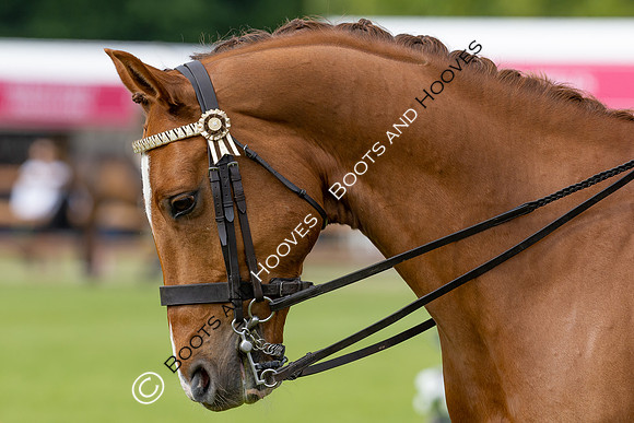 Royal Windsor Horse Show