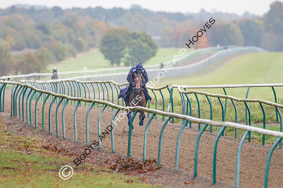 Newmarket