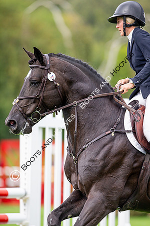 Science Supplements All England Jumping Championships