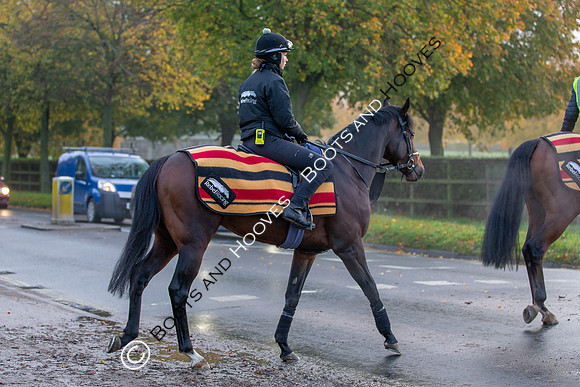 Newmarket