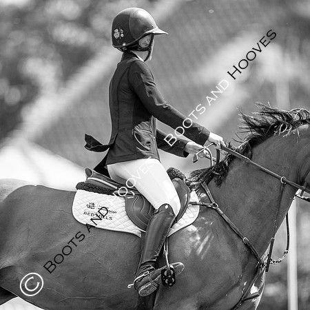 Showjumping