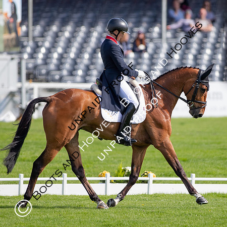 Badminton Horse Trials