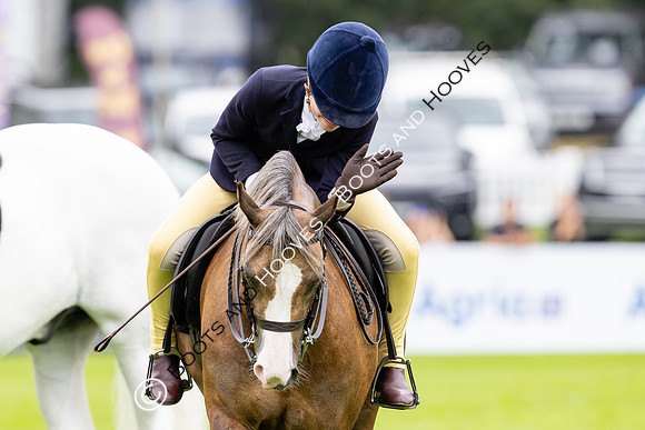 The Agria Royal International Horse Show