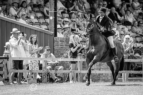 The Al Shira'aa Hickstead Derby Meeting