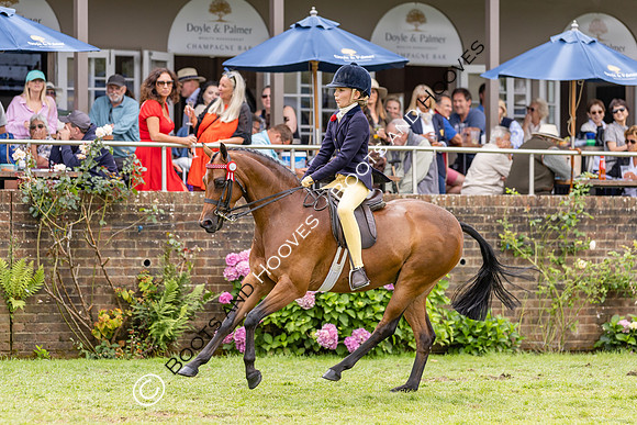 The Agria Royal International Horse Show