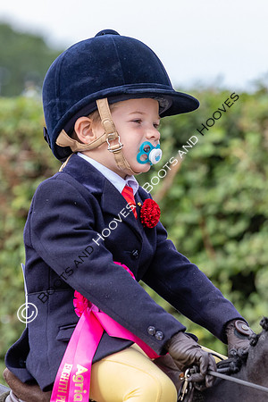 The Agria Royal International Horse Show