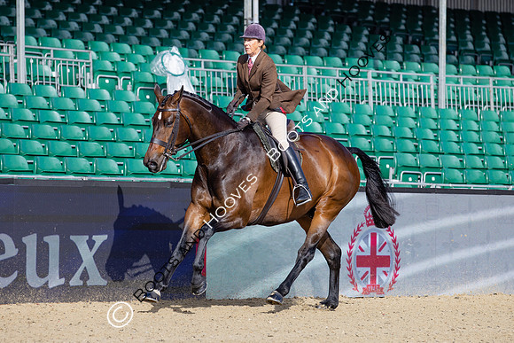 Royal Windsor Horse Show