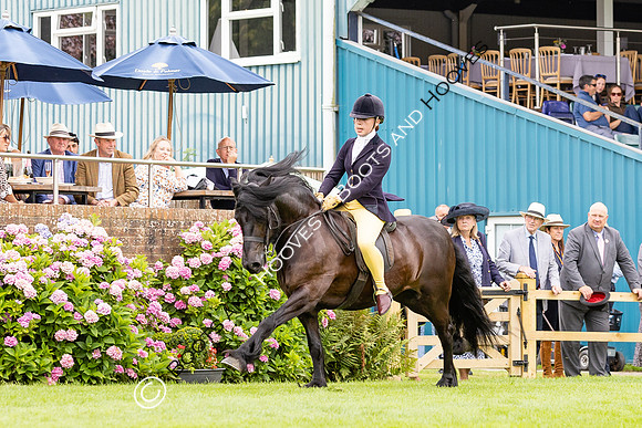 The Agria Royal International Horse Show