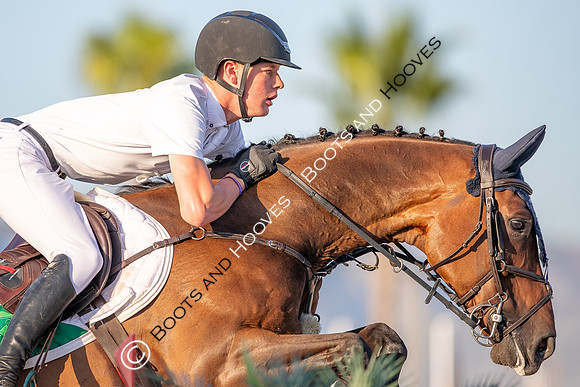 FEI Junior European Championship Young Riders, Juniors & Childre