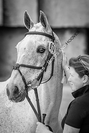 Badminton Horse Trials