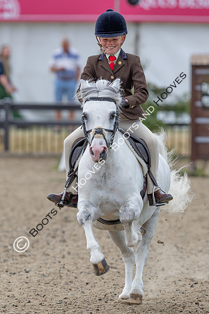 Royal Windsor Horse Show