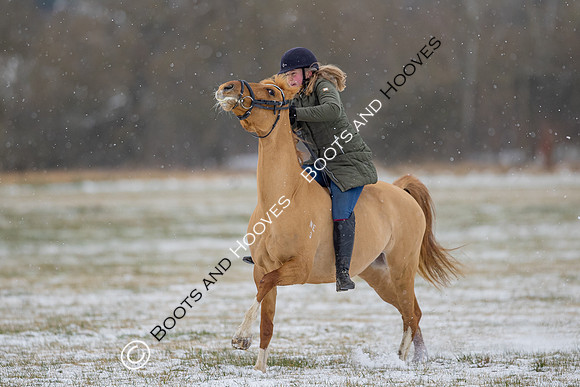 Snow Day