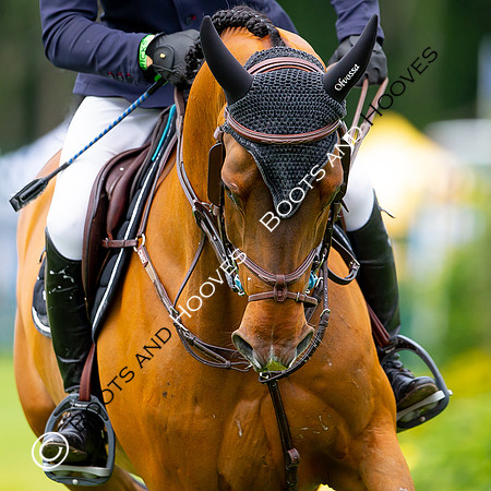 Showjumping