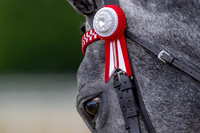 Royal Windsor Horse Show