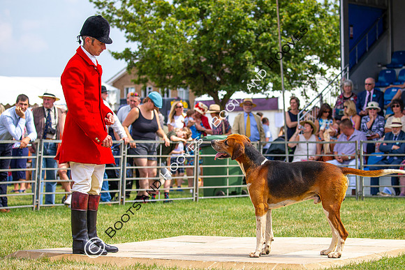 Festival of Hunting