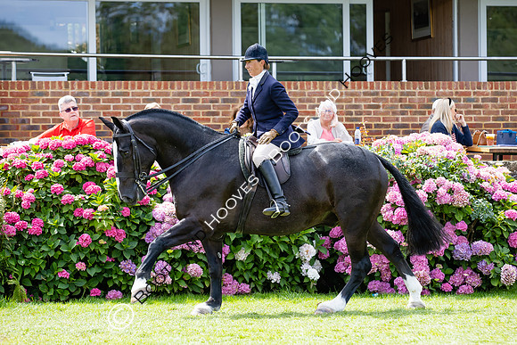 The Agria Royal International Horse Show
