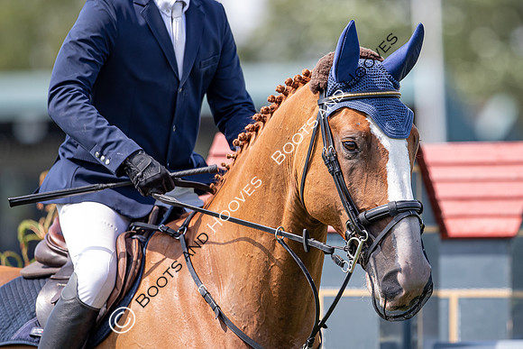 The Prenetics Royal International Horse Show