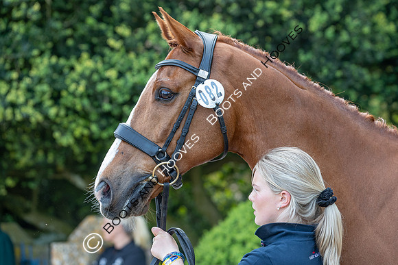 Badminton Horse Trials