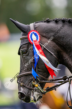 The Longines Royal International Horse Show