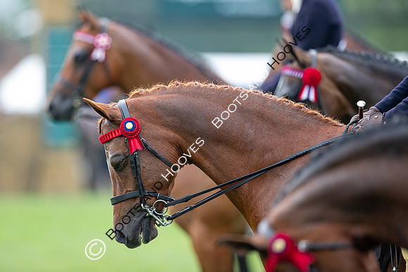 The Prenetics Royal International Horse Show