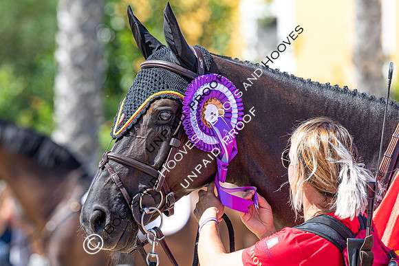 FEI Junior European Championship Young Riders, Juniors & Childre