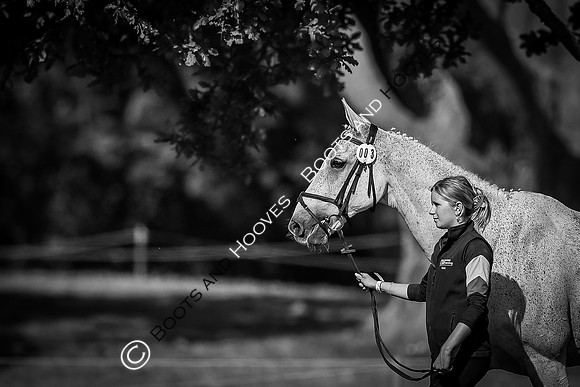 Blenheim Palace International Horse Trials