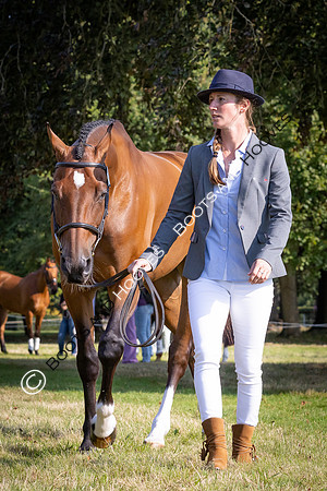 Blenheim Palace International Horse Trials