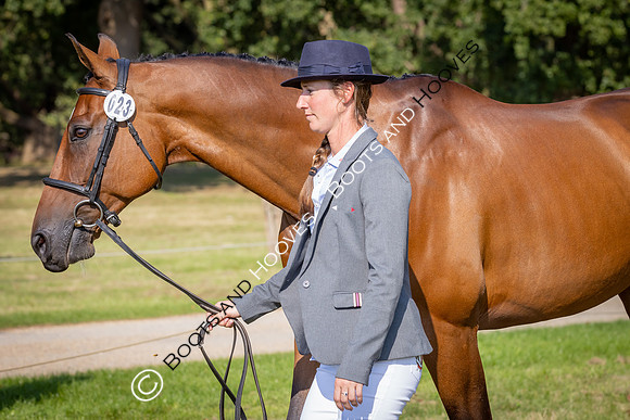 Blenheim Palace International Horse Trials