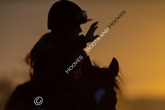 Newmarket