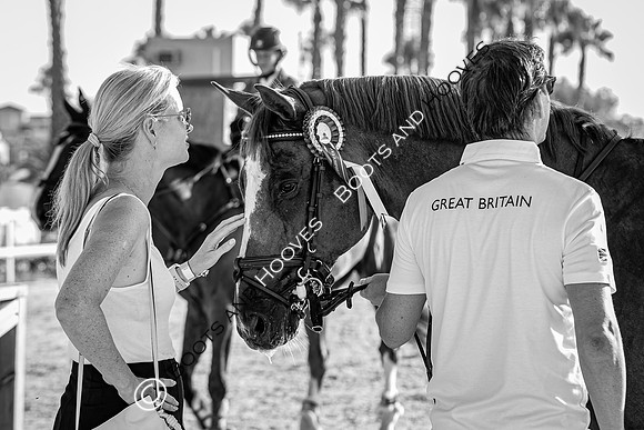 FEI Junior European Championship Young Riders, Juniors & Childre