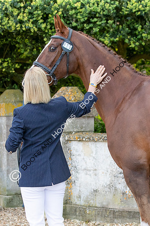 MARS Badminton Horse Trials