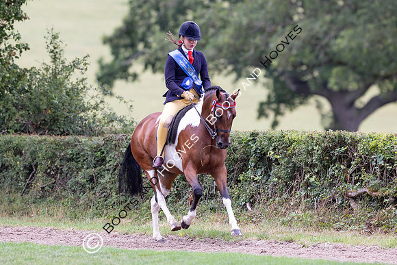 The Royal International Horse Show