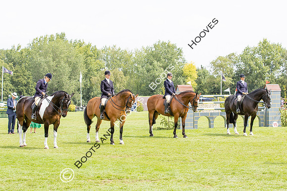 The Agria Royal International Horse Show