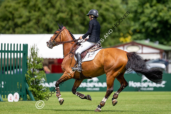 Showjumping