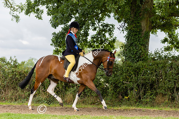 The Royal International Horse Show