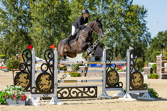 The Al Shira'aa British Young Horse Championships