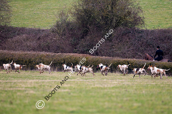 The Ledbury Hunt